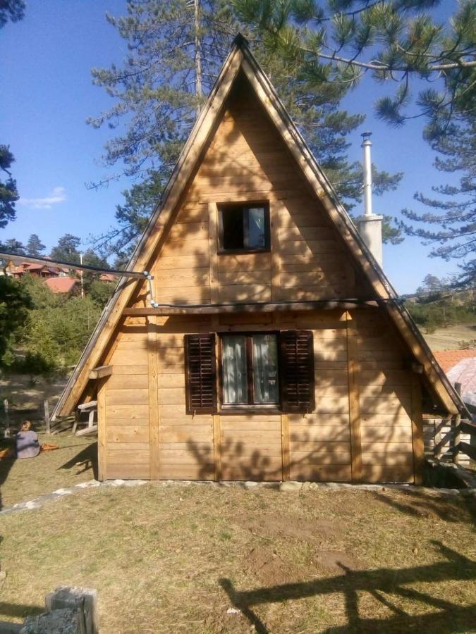 Zlatibor-Carevo Polje Appartement Dobroselica Buitenkant foto