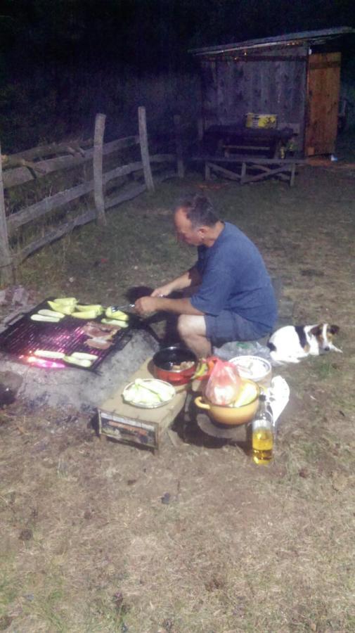 Zlatibor-Carevo Polje Appartement Dobroselica Buitenkant foto